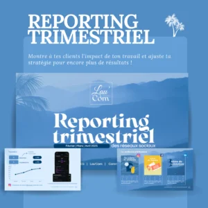 Reporting analytique